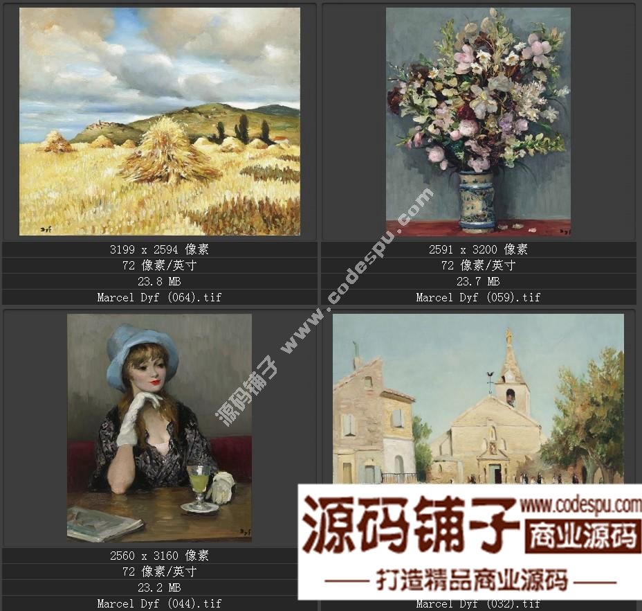 法国后印象派画家★马塞尔.德福〓油画作品高清图片115幅