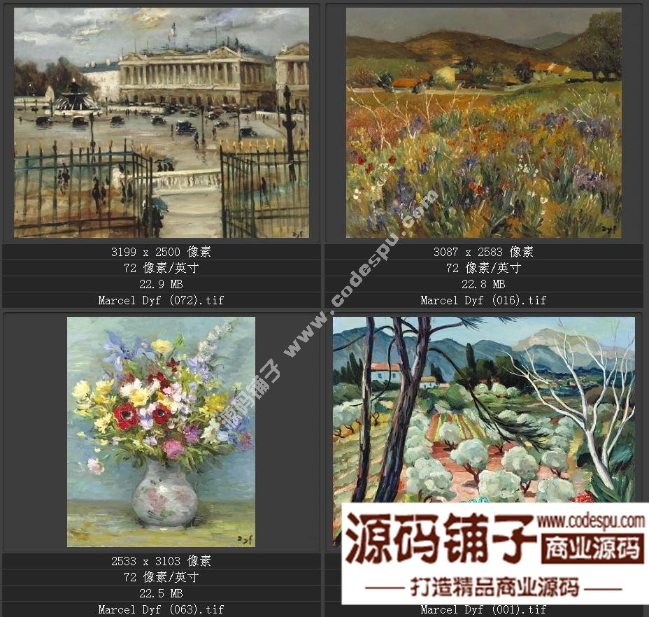 法国后印象派画家★马塞尔.德福〓油画作品高清图片115幅