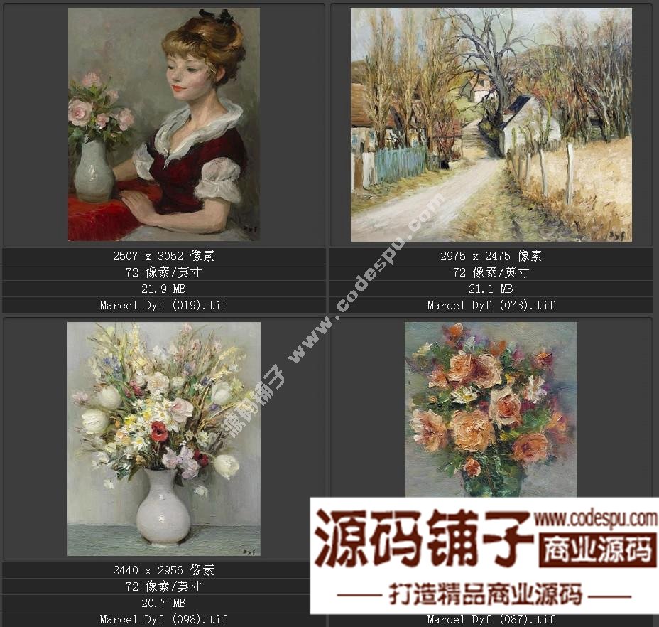 法国后印象派画家★马塞尔.德福〓油画作品高清图片115幅