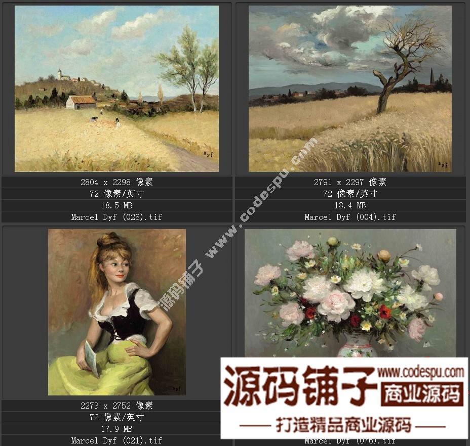 法国后印象派画家★马塞尔.德福〓油画作品高清图片115幅