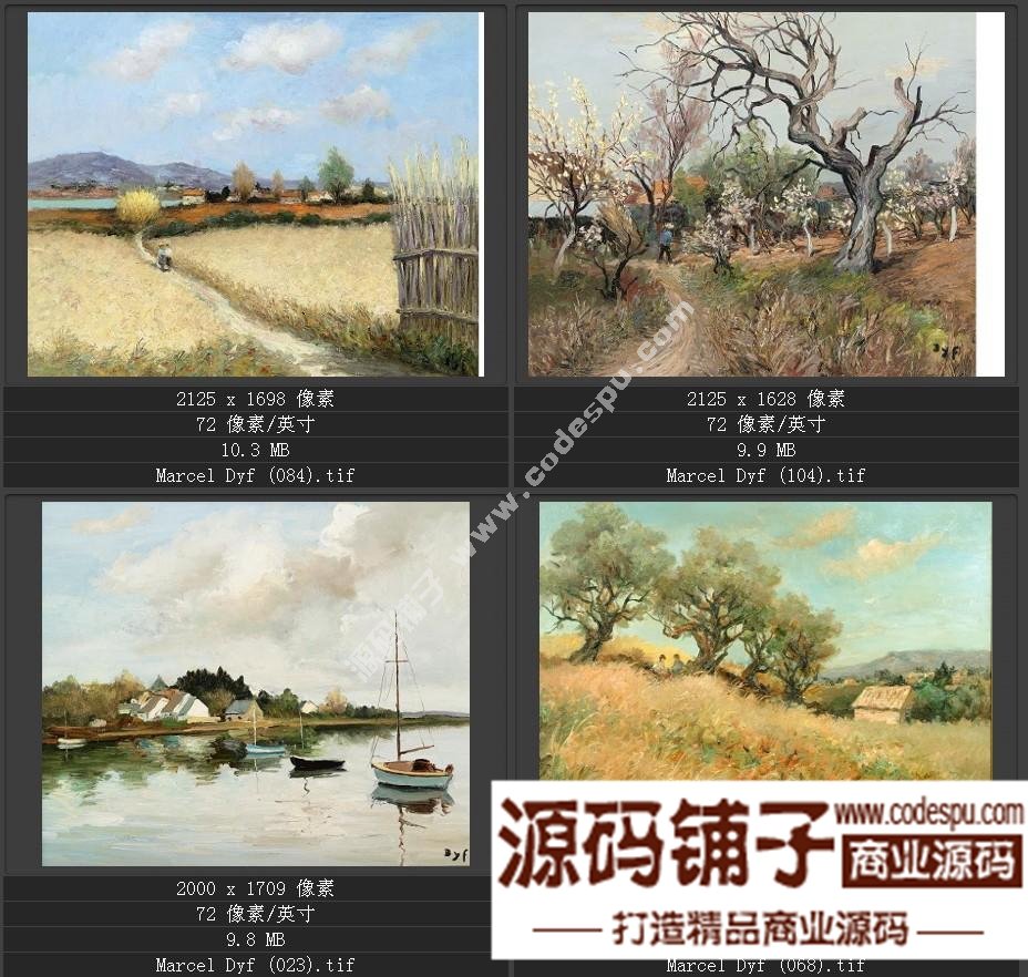 法国后印象派画家★马塞尔.德福〓油画作品高清图片115幅