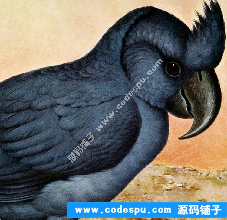 ʻ񻭱رز ͼײɫͼ9093.15G