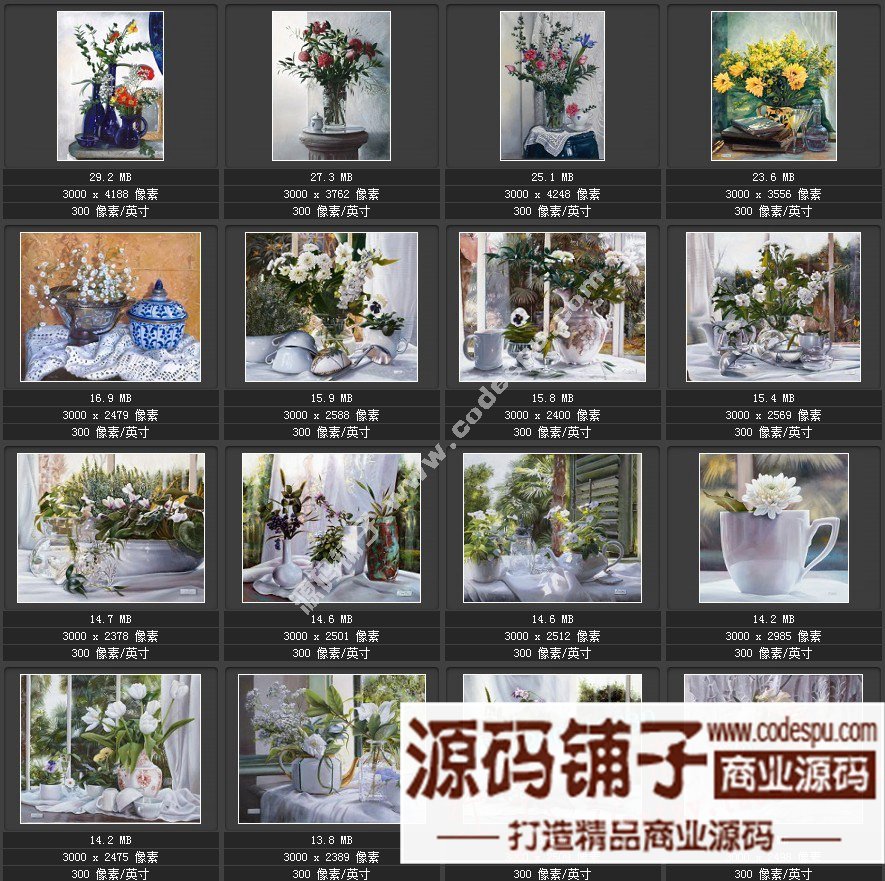 波兰女画家Danka Weitzen油画作品高清图片 写实瓷器静物花卉油画