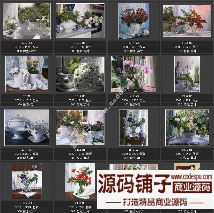 波兰女画家Danka Weitzen油画作品高清图片 写实瓷器静物花卉油画