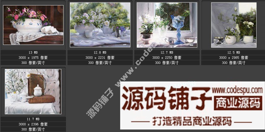 波兰女画家Danka Weitzen油画作品高清图片 写实瓷器静物花卉油画