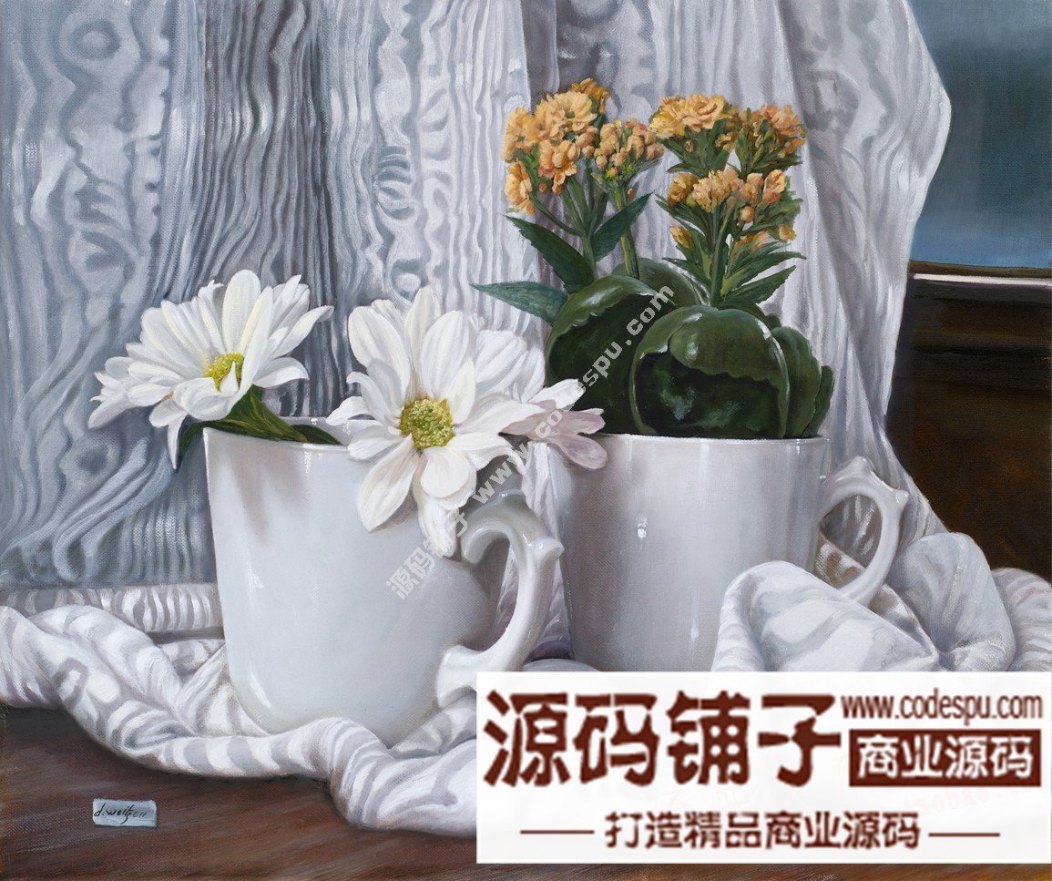 波兰女画家Danka Weitzen油画作品高清图片 写实瓷器静物花卉油画