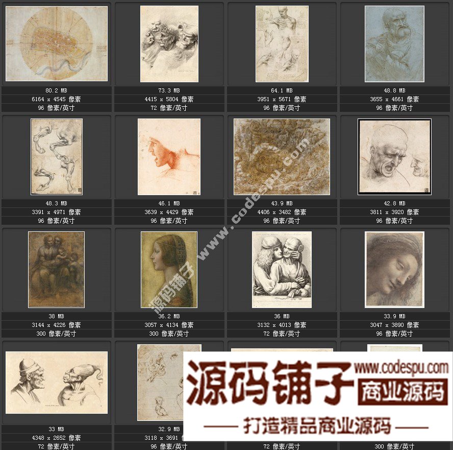 达芬奇 Leonardo da Vinci 绘画作品高清图片51幅达芬奇素描作品