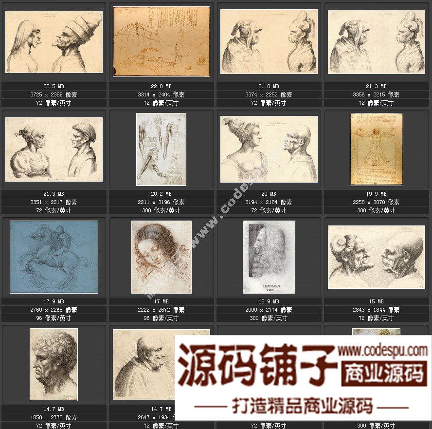 达芬奇 Leonardo da Vinci 绘画作品高清图片51幅达芬奇素描作品