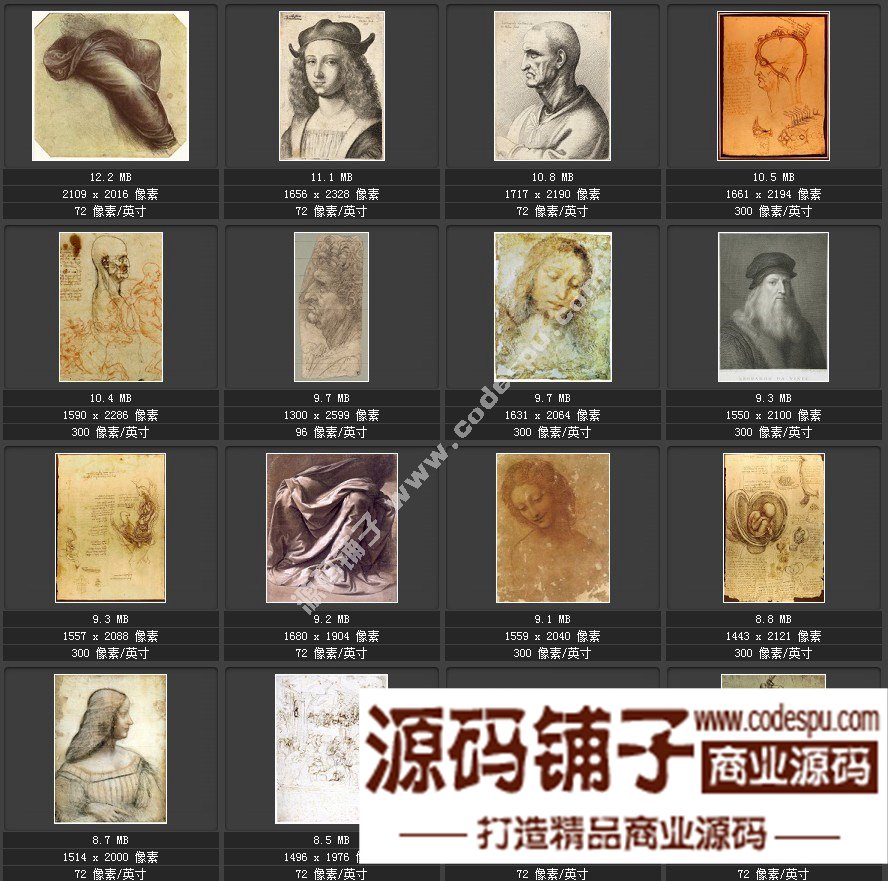 达芬奇 Leonardo da Vinci 绘画作品高清图片51幅达芬奇素描作品