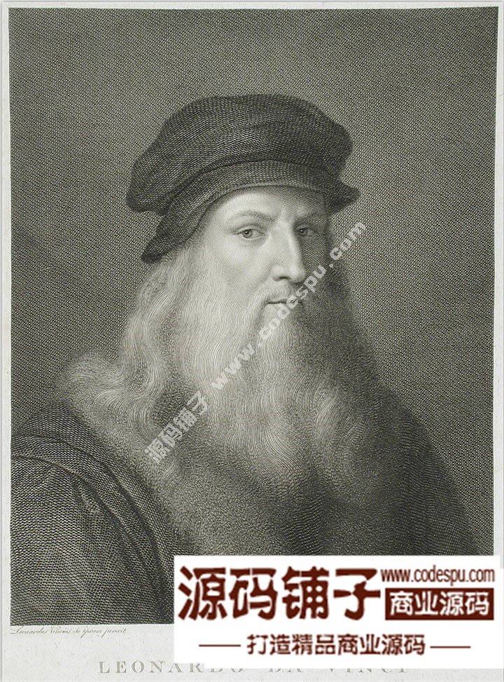 达芬奇 Leonardo da Vinci 绘画作品高清图片51幅达芬奇素描作品
