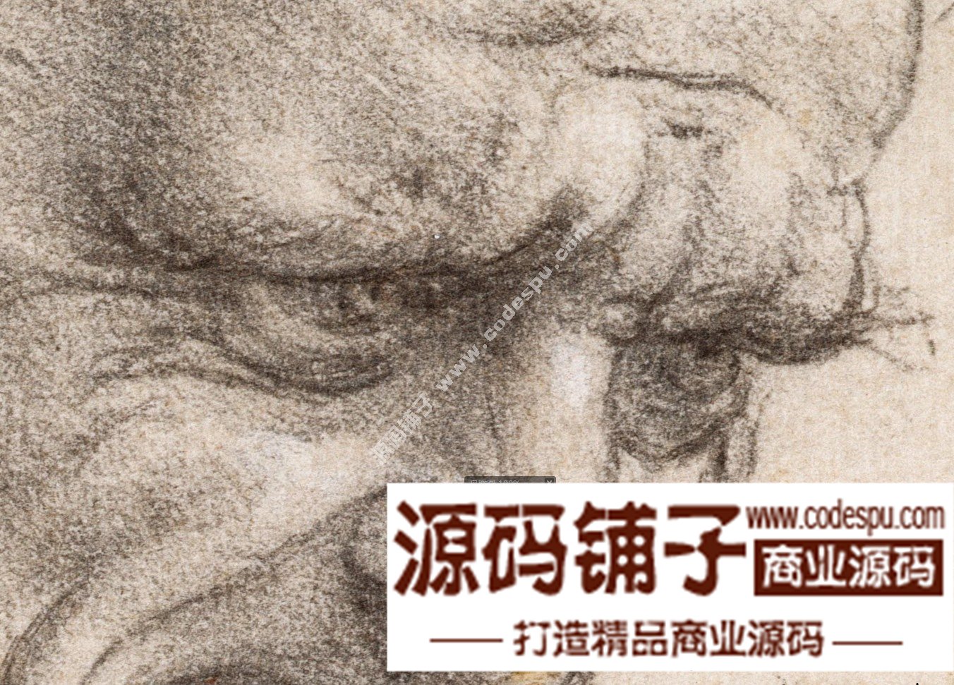 达芬奇 Leonardo da Vinci 绘画作品高清图片51幅达芬奇素描作品