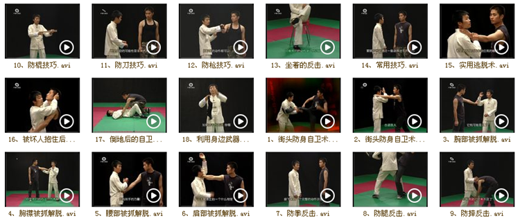 防身术视频教程女子自卫格斗百招散打搏击术徒手街头武术教材实战