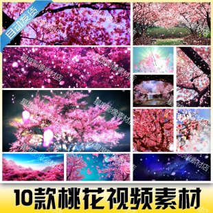 Ψһ_ӣƮVJ_߶˻ledĻƵز1