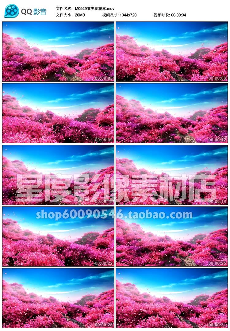 Ψһ_ӣƮVJ_߶˻ledĻƵز