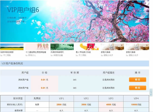 超级VIP用户组购买_打包版/Discuz插件/Discuz模板/DZ商业模板