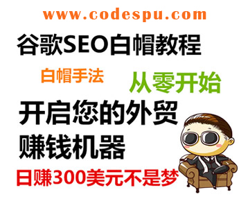ñȸSEO̳ GoogleӢվΪ׬Ǯ SEOȫ