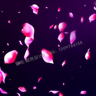 ĻVJ Ψõ廨 Ʈ䶯̬ LEDƵزZ051