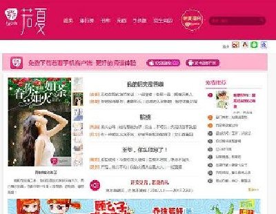 杰奇2.2专业版内核《若夏文学网》女生版小说网站源码 电脑端+WAP