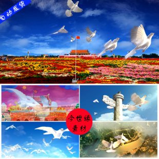 ƽ質 й ʮһLEDĻƵز1