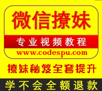 微信聊天撩妹教程 撩妹秘笈全套提升聊天技艺聊天套路秘籍