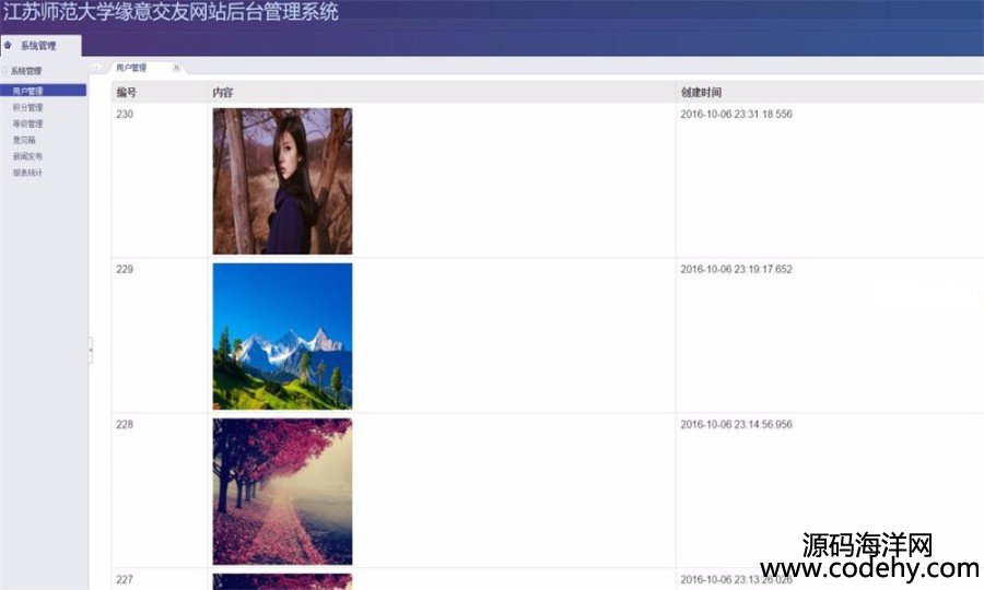 600-漂亮大气 功能齐全JAVA交友网站源码(前台+后台)