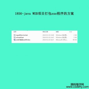 1856-java WEBĿexeķ