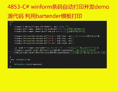 4853-C# winformԶӡdemoԴ bartenderģӡ