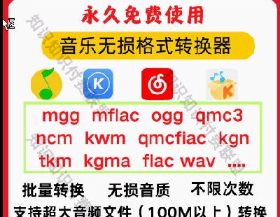 6298-音乐格式转换flac wav ogg mgg mflac kgma ncm转mp3音频文件解密
