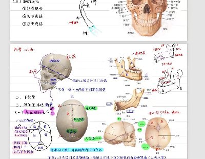 7562-ϵͳѧʼ桾154ҳ