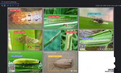 7862-IP102ũﲡݼYOLOʽѴñǩ14࣬1200ͼƬ