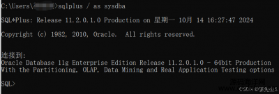 Oraclesystemsysȸ˻޸