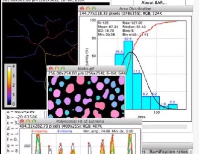  8574-imagej FijiͼƬ ImageJһ java, National Institutes of Health(NIH)һ