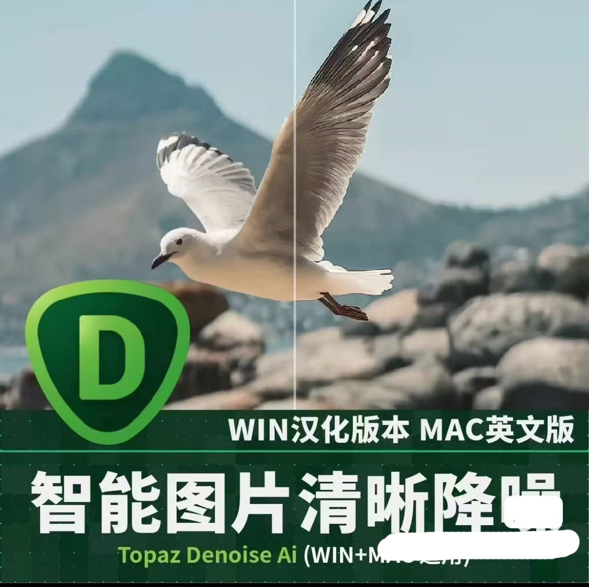  9158-ʷ����ǿͼƬ��������Topaz DeNoise AI3.7.0�ȶ��潵���������˾�